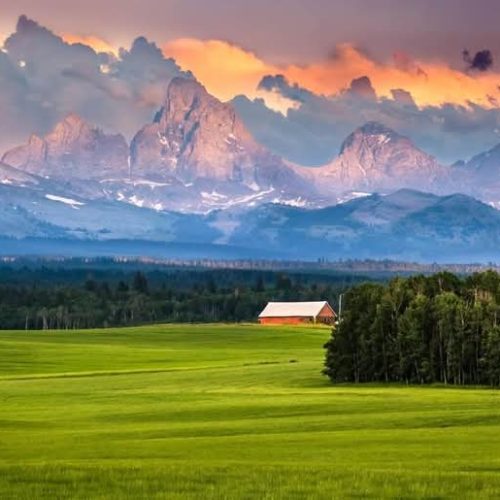 Yellowstone em 2026: Entre o Esplendor Natural e os Desafios do Turismo de Massa