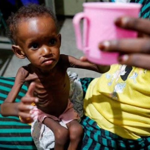 Crise humanitária se aprofunda no Sudão: fome, genocídio e o colapso de uma nação