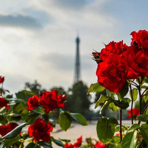 Torre Eiffel em 2026: Reforma histórica, recorde de satisfação e os desafios do calor extremo