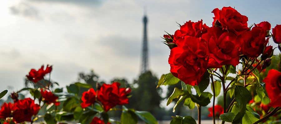 Torre Eiffel em 2026: Reforma histórica, recorde de satisfação e os desafios do calor extremo
